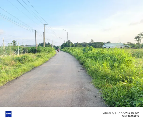 Bất động sản tại TP. Hồ Chí Minh - ảnh 1