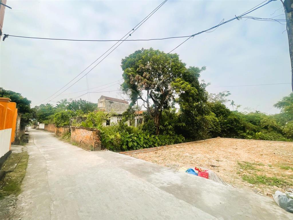 Bất động sản tại Bắc Ninh - ảnh 1