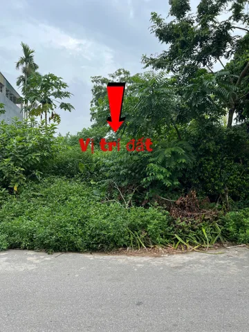 Bất động sản tại Phú Thọ - ảnh 1