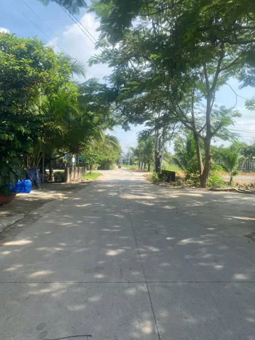 Bất động sản tại Long An - ảnh 1