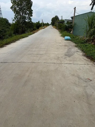 Bất động sản tại Long An - ảnh 1