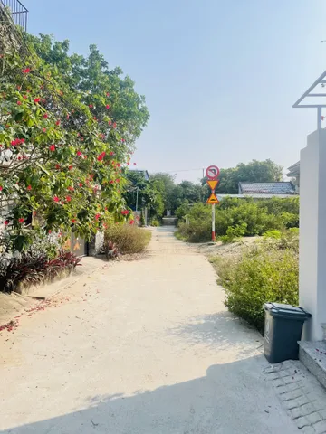 Bất động sản tại Đà Nẵng - ảnh 1