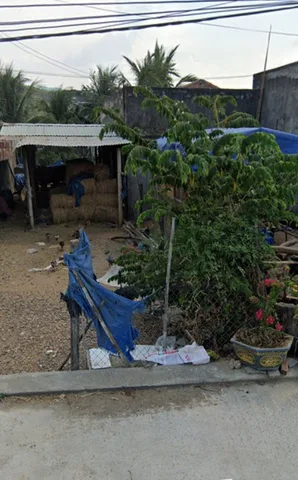 Bất động sản tại Gia Lai - ảnh 1