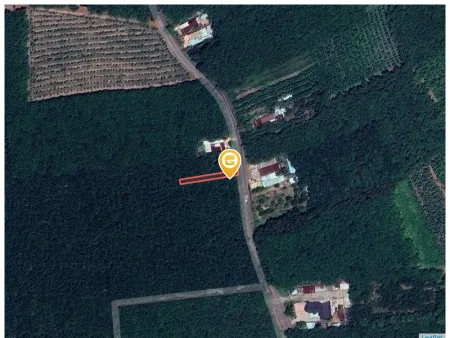 Bất động sản tại Bình Dương - ảnh 1