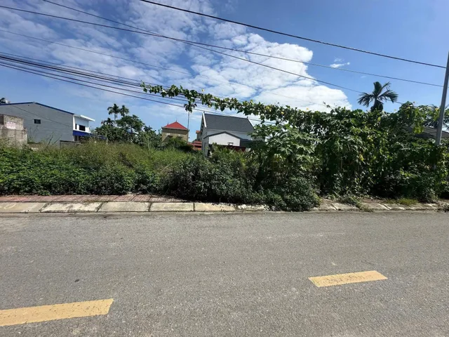 Bất động sản tại Hải Phòng - ảnh 1
