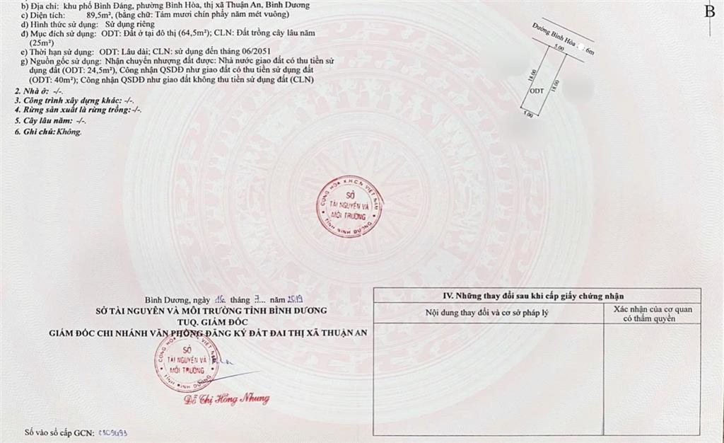 Bất động sản tại Bình Dương - ảnh 1
