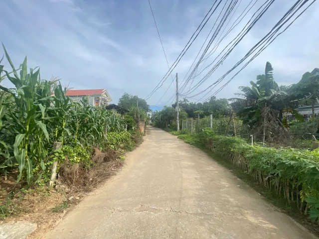 Bất động sản tại Phú Thọ - ảnh 1
