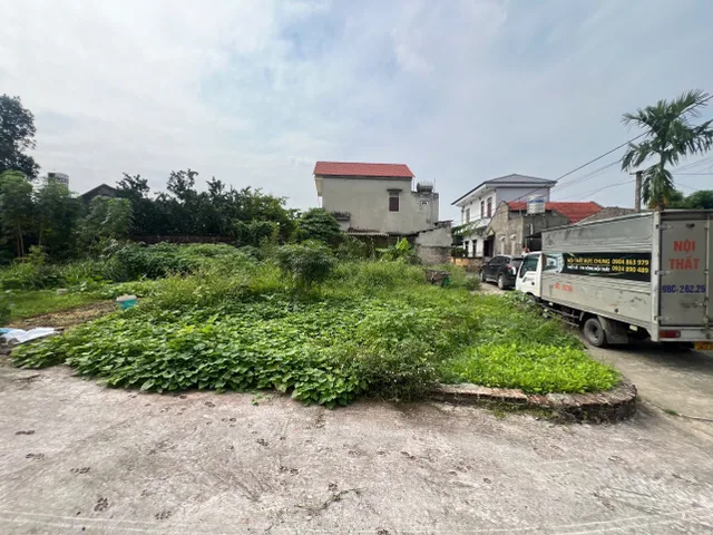 Bất động sản tại Phú Thọ - ảnh 1