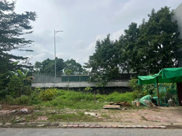 Bất động sản tại Phú Thọ - ảnh 1