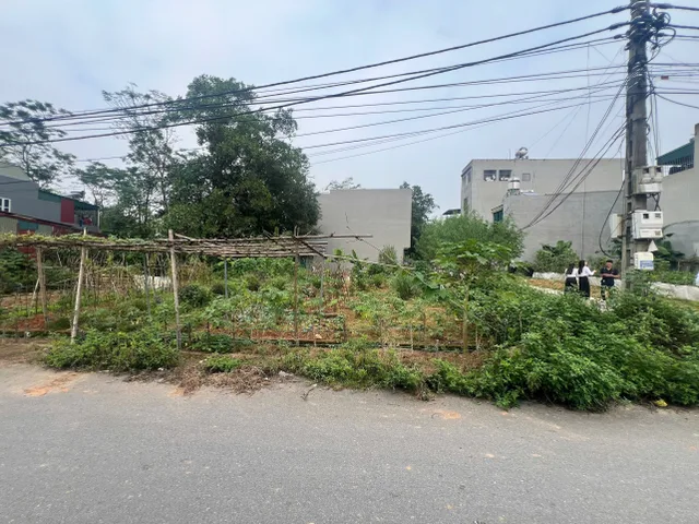 Bất động sản tại Phú Thọ - ảnh 1