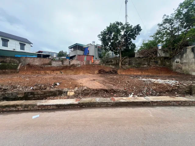 Bất động sản tại Phú Thọ - ảnh 1