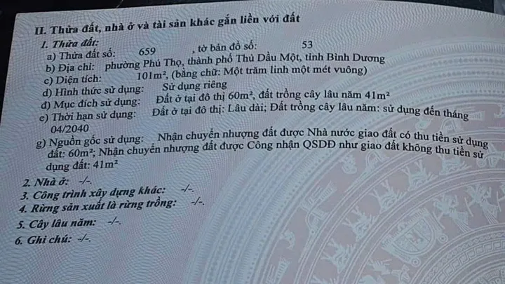Bất động sản tại Bình Dương - ảnh 1