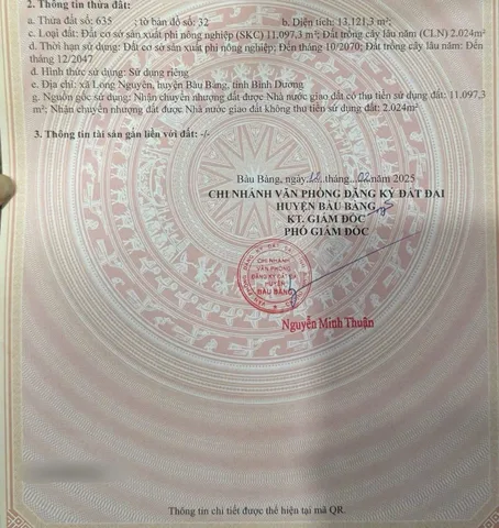 Bất động sản tại Bình Dương - ảnh 1