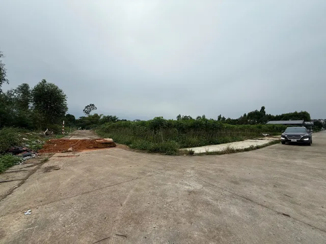 Bất động sản tại Phú Thọ - ảnh 1