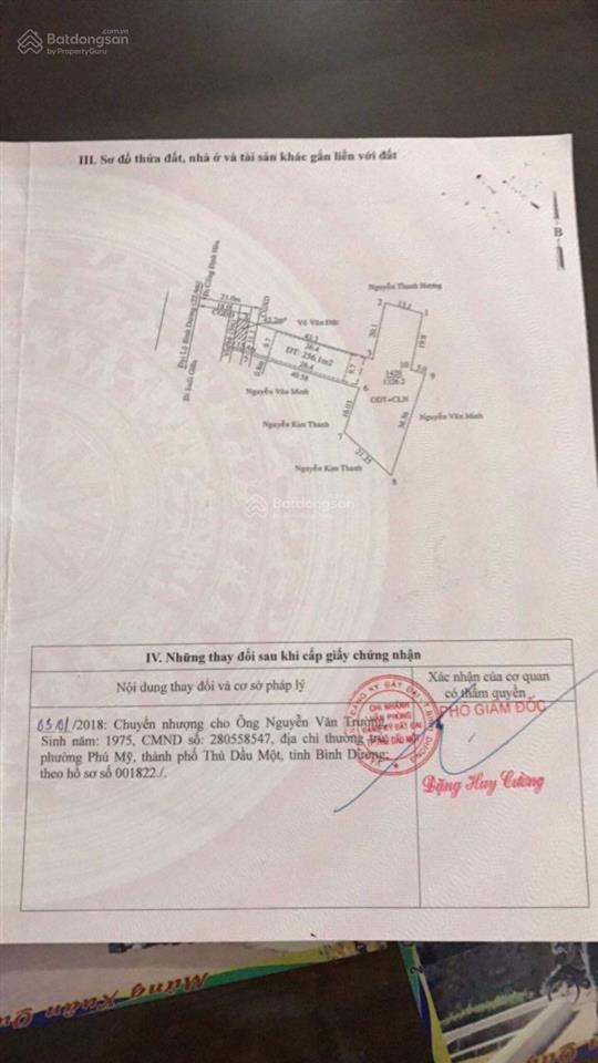 Bất động sản tại Bình Dương - ảnh 1