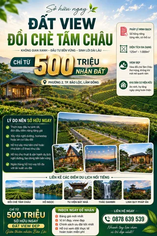 Bất động sản tại Lâm Đồng - ảnh 1