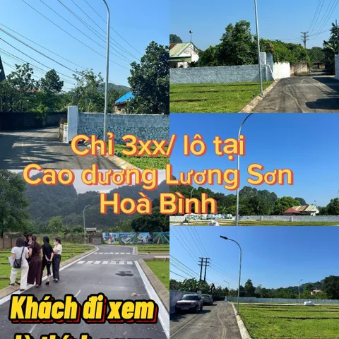 Bất động sản tại Phú Thọ - ảnh 1