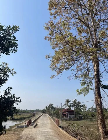 Bất động sản tại Đắk Lắk - ảnh 1