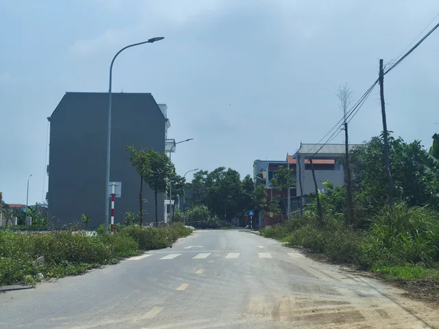 Bất động sản tại Bắc Ninh - ảnh 1