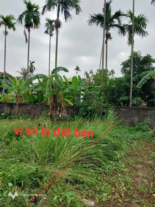 Bất động sản tại Hải Phòng - ảnh 1