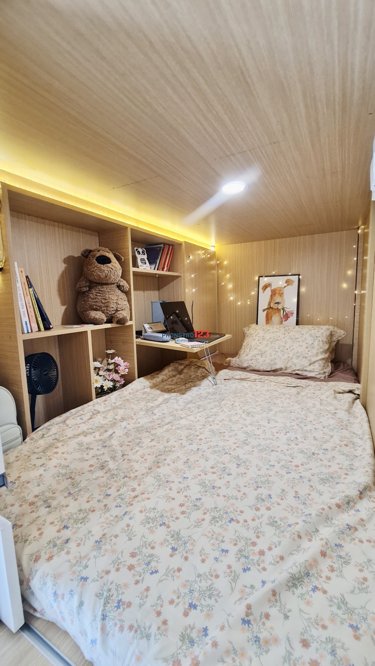 Bất động sản tại TP. Hồ Chí Minh - ảnh 1