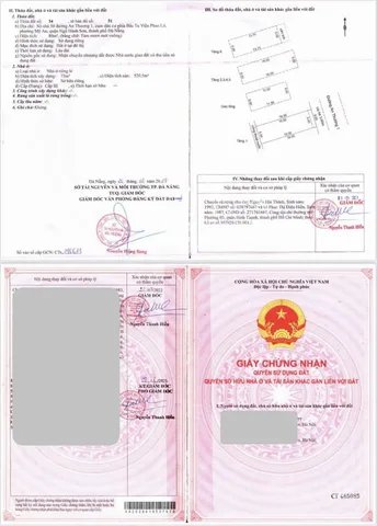 Bất động sản tại Đà Nẵng - ảnh 1