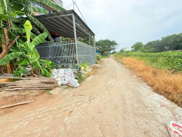 Bất động sản tại Long An - ảnh 1