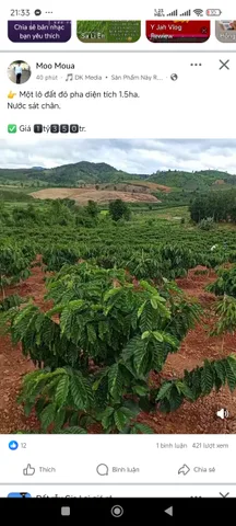 Bất động sản tại Đắk Lắk - ảnh 1