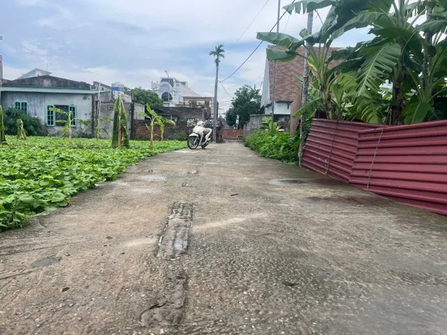 Bất động sản tại Hải Phòng - ảnh 1