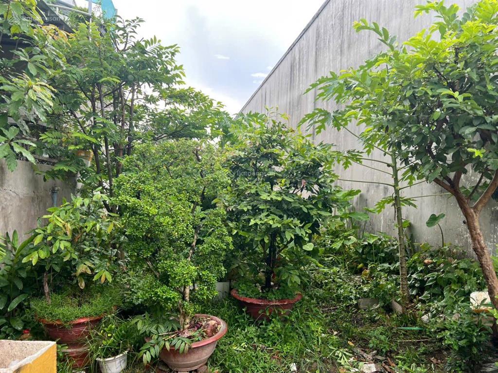 Bất động sản tại Cần Thơ - ảnh 1
