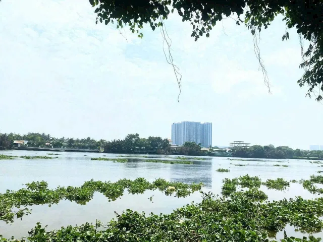 Bất động sản tại Long An - ảnh 1