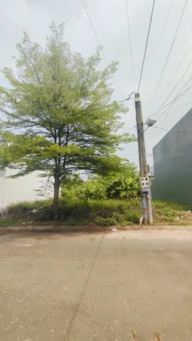 Bất động sản tại Tây Ninh - ảnh 1