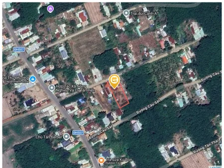 Bất động sản tại Bình Dương - ảnh 1