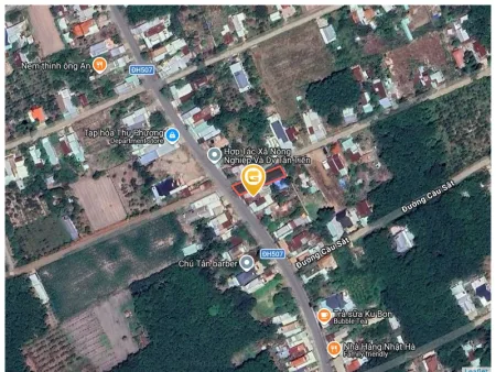 Bất động sản tại Bình Dương - ảnh 1