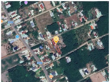Bất động sản tại Bình Dương - ảnh 1