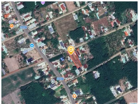 Bất động sản tại Bình Dương - ảnh 1