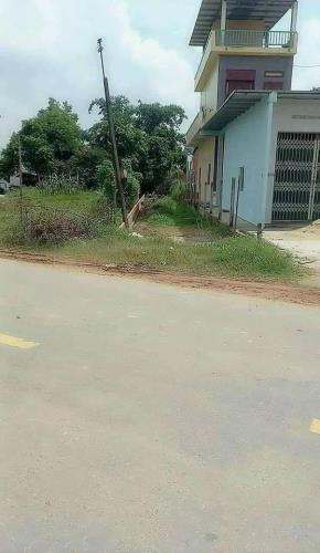 Bất động sản tại Long An - ảnh 1