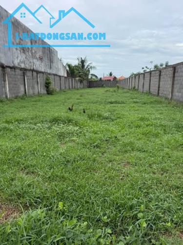 Bất động sản tại Long An - ảnh 1
