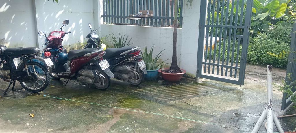 Nhà riêng tại Hóc Môn, TP. Hồ Chí Minh - ảnh 5