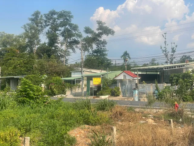 Bất động sản tại Bình Dương - ảnh 1
