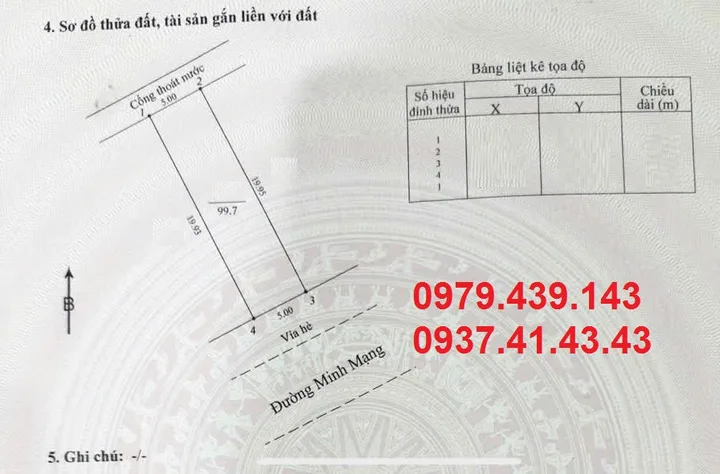 Bất động sản tại Đà Nẵng - ảnh 1