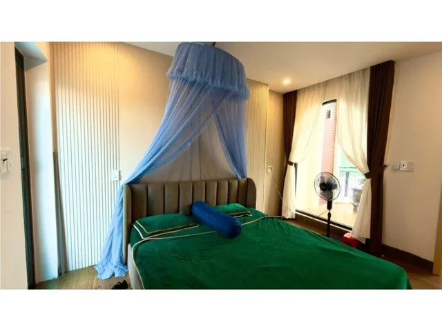 Bất động sản tại Đà Nẵng - ảnh 1