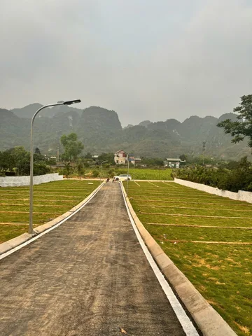 Bất động sản tại Phú Thọ - ảnh 1