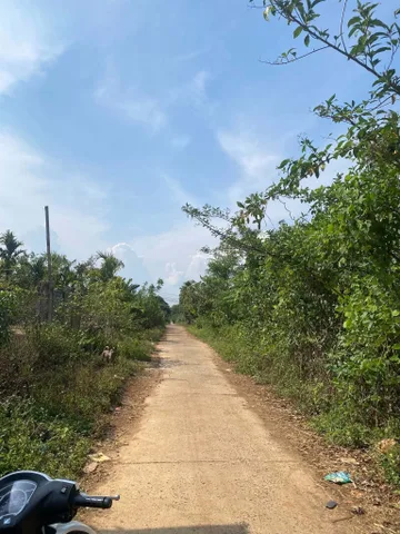 Bất động sản tại Đắk Lắk - ảnh 1