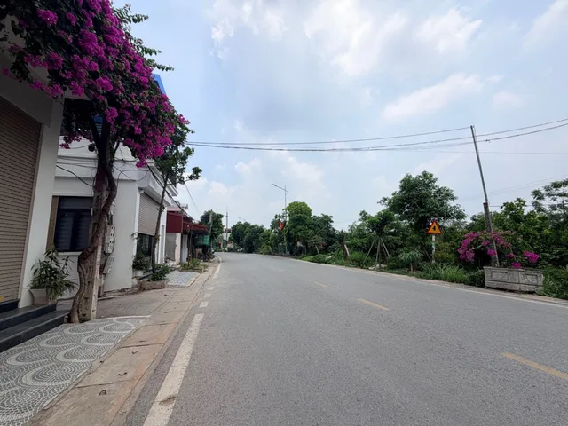 Bất động sản tại Hưng Yên - ảnh 1