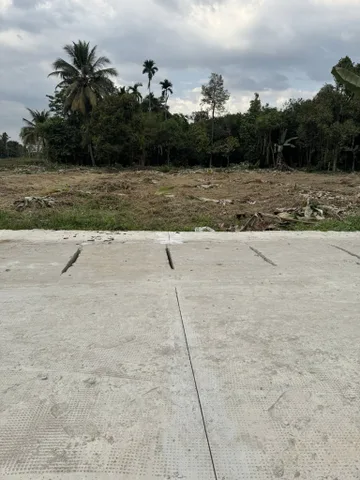 Bất động sản tại Bình Dương - ảnh 1