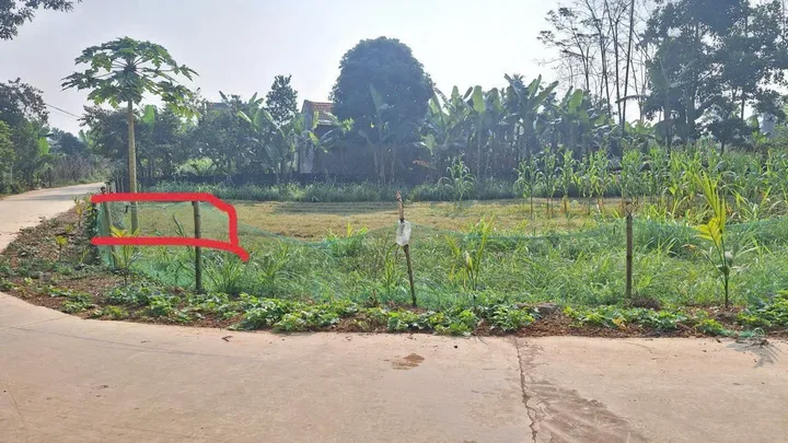 Bất động sản tại Thanh Hóa - ảnh 1