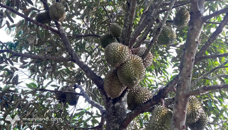 Bất động sản tại Đắk Lắk - ảnh 1