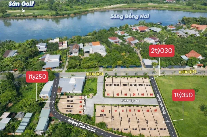 Bất động sản tại Đồng Nai - ảnh 1