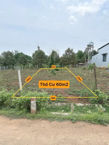 Bất động sản tại Đắk Lắk - ảnh 1